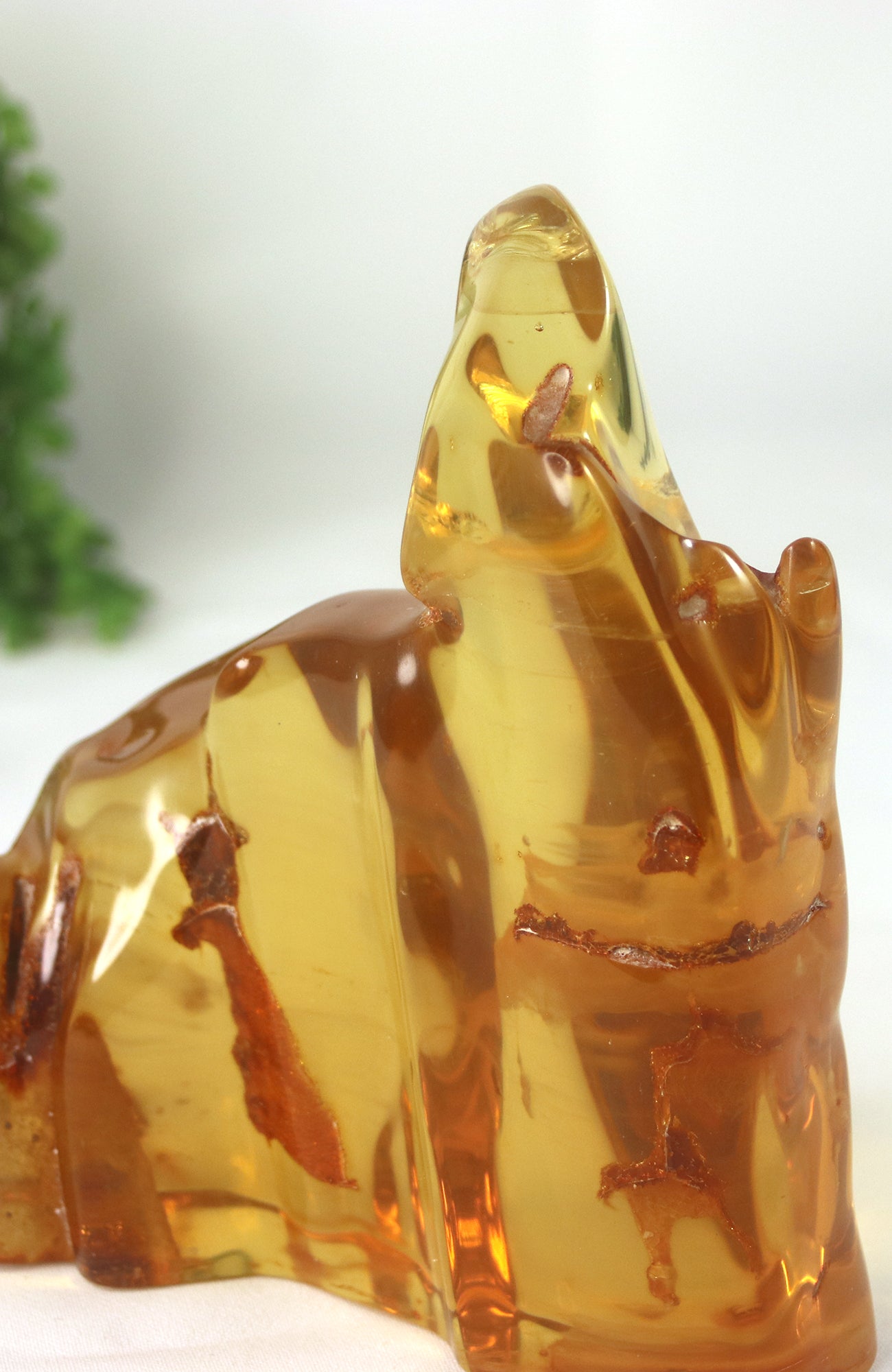 Amber Piece with insects